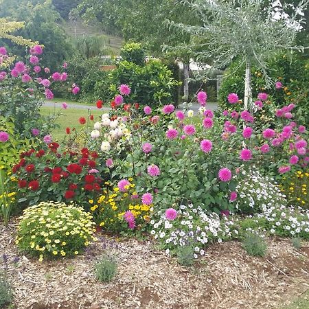 Glenbervie Cottages Whangarei Eksteriør billede